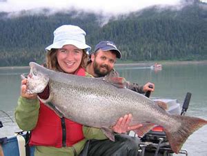 Senior Licensing: Sport Fishing Licenses and King Salmon .